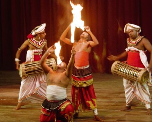 Cultural Dance Shows