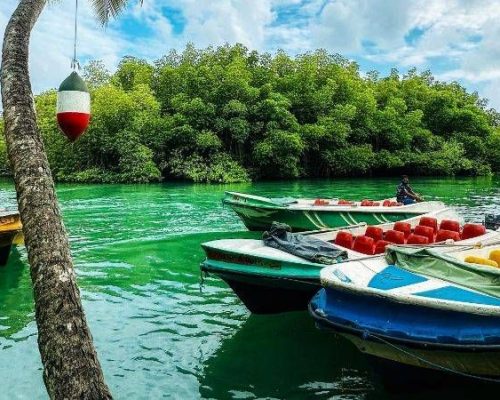 Madu River Boat Safari