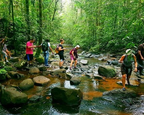 Sinharaja Rainforest Trek