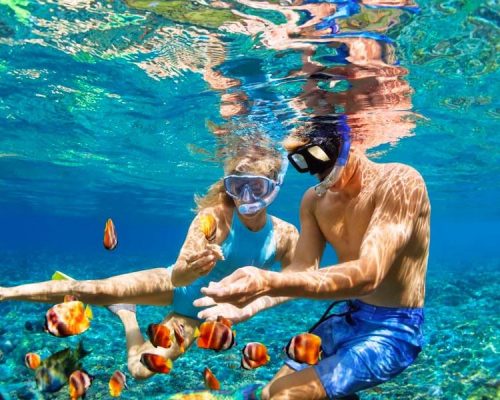 Snorkeling